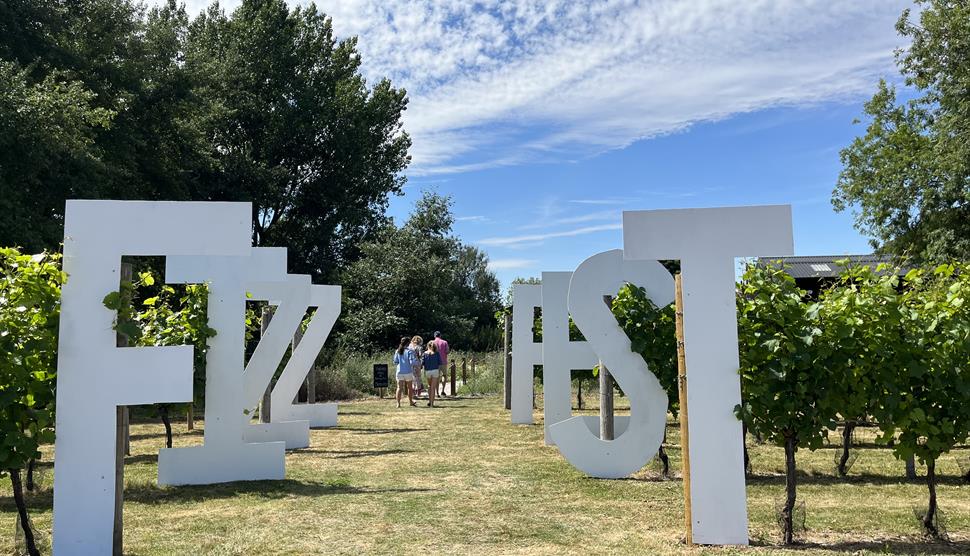 Fizz Fest